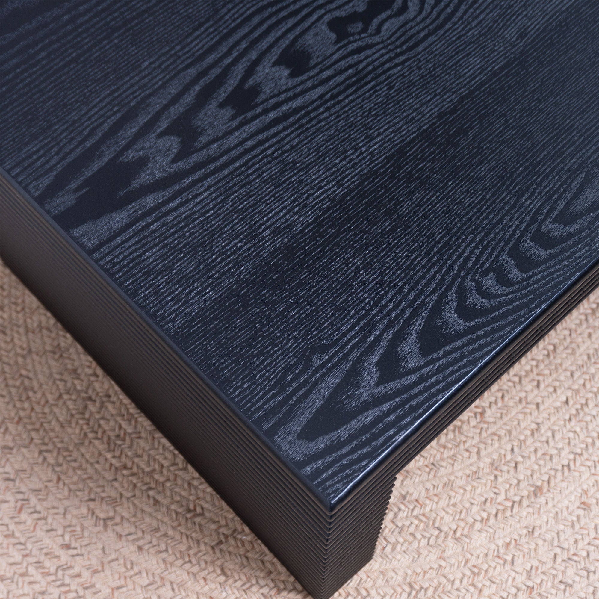 The Noir Gallery Coffee Table